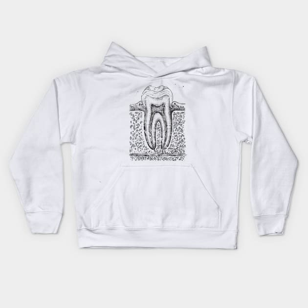 Tooth diagram Kids Hoodie by erzebeth